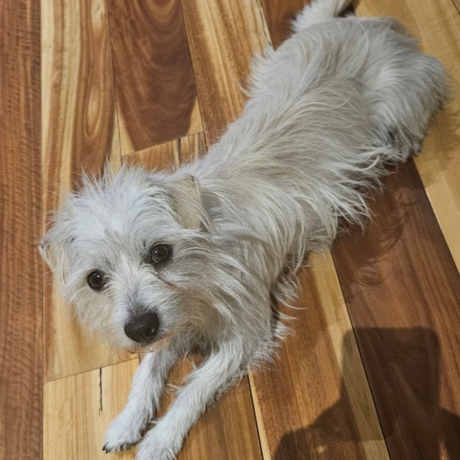 Photo of Searchlight