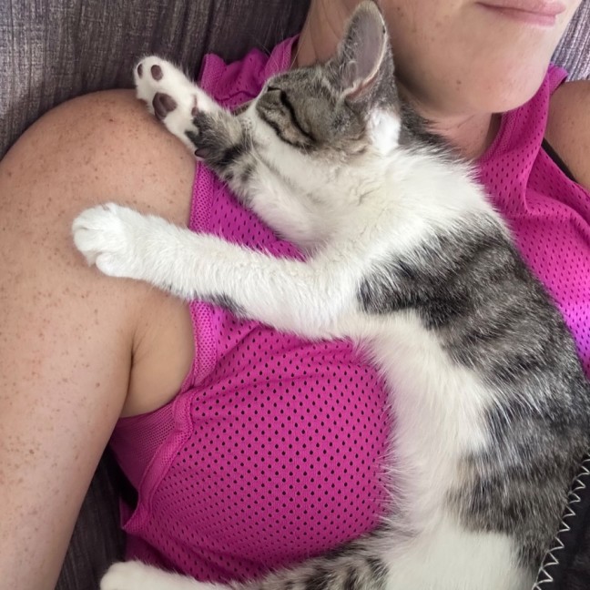 Photo of Arnie Purrzenegger 💪 