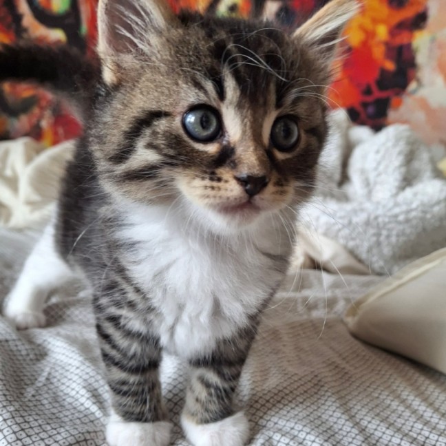 Photo of Wally