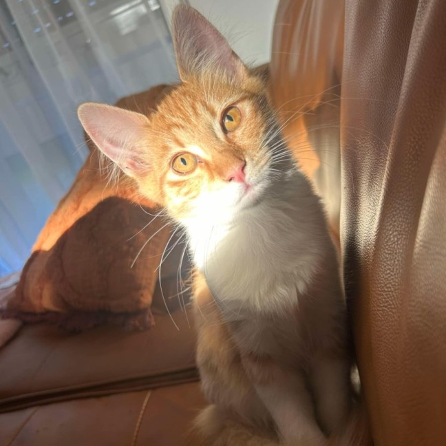 Photo of Nikki