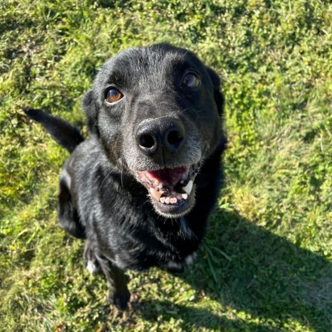 Photo of Jet