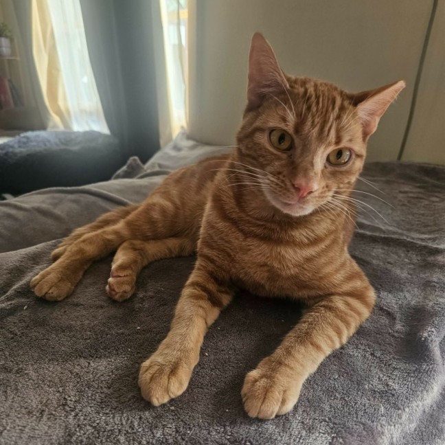 Photo of Lance