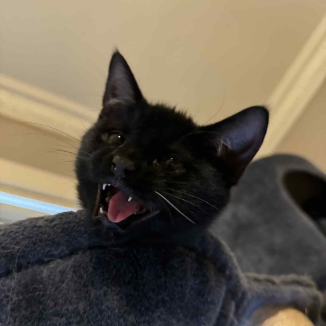 Photo of Frank   Located In Preston