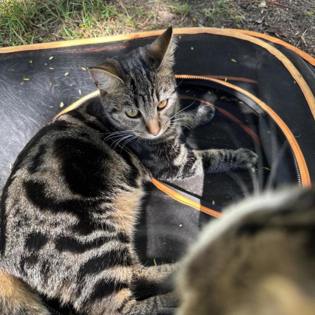 Photo of Poppy And Precious