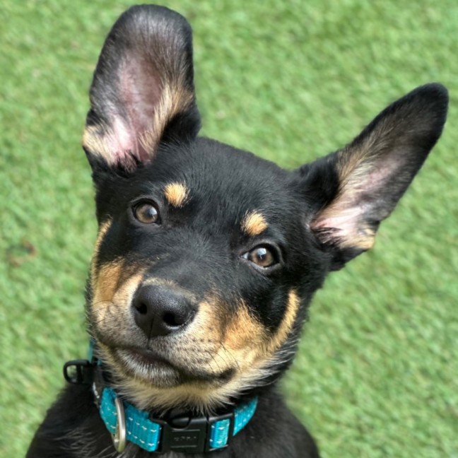 Photo of Timberglades