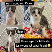 Photo of Dennis, Pablo, Picasso And Henry Ii