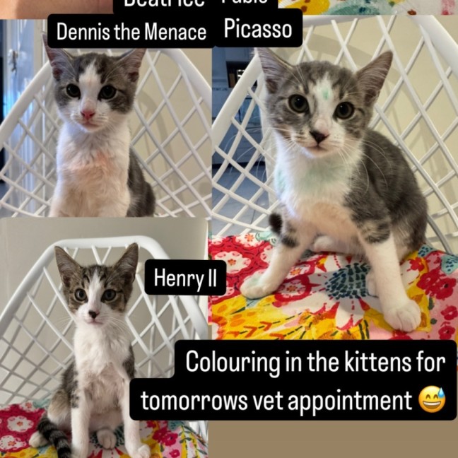 Photo of Dennis, Pablo, Picasso And Henry Ii