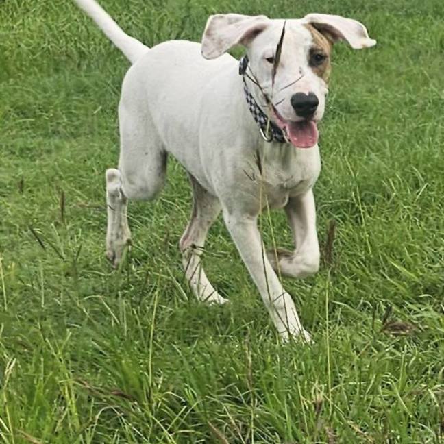 Photo of Paddy