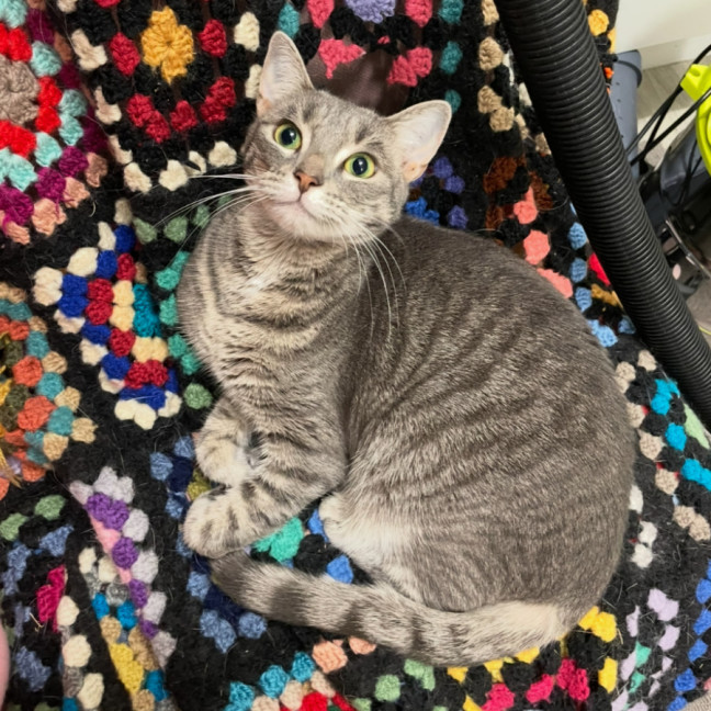 Photo of Lana & Lucy