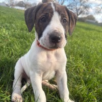 Photo of Tarnation
