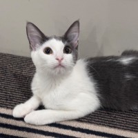 Photo of Evan & Evie