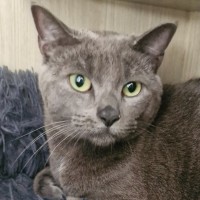 Photo of C1484 Billy