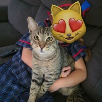 Photo of Chase 