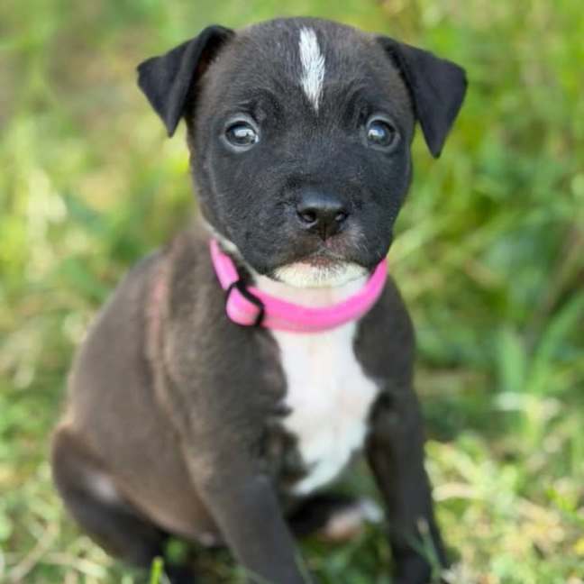 Photo of Jeanie