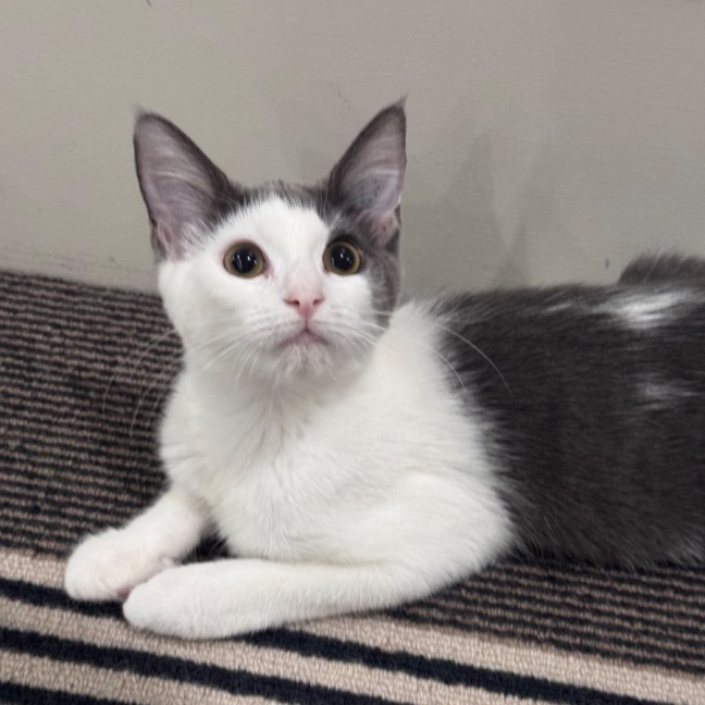 Photo of Evan & Evie