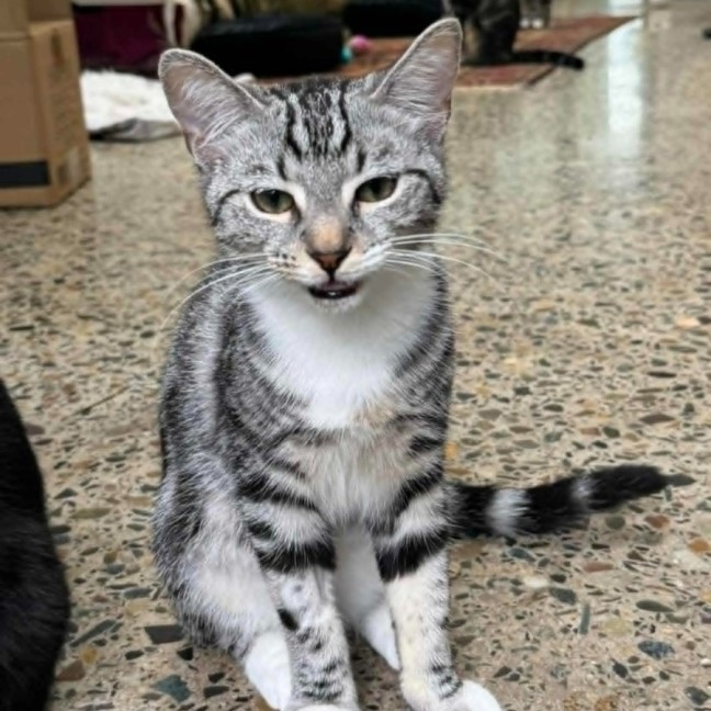 Photo of Otis And Reading