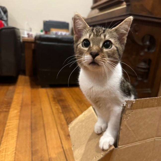 Photo of Jake