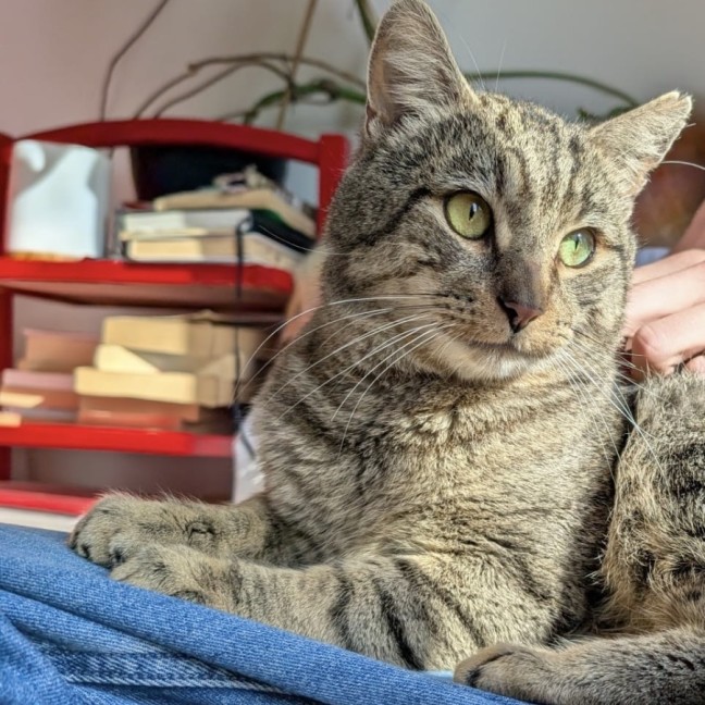 Photo of Wesley