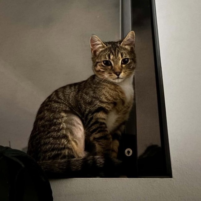 Photo of Mia