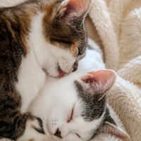 Photo of Harriet & Henry 