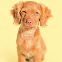 Photo of Kenzo