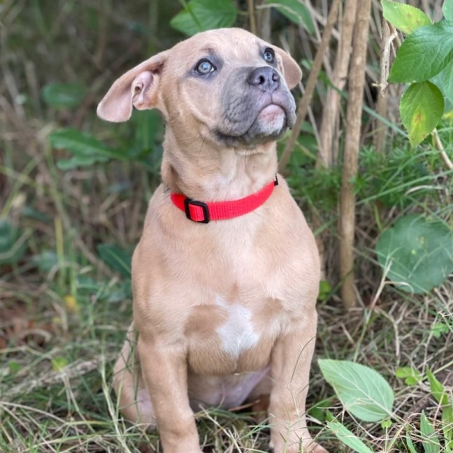 Photo of Lylah