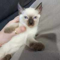 Photo of Lilli