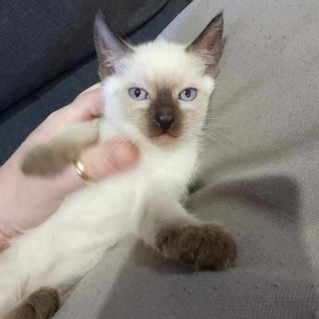 Photo of Lilli