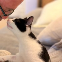 Photo of Domino