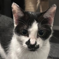 Photo of Gracey 💗