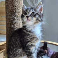 Photo of Casimir 💙