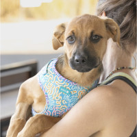 Photo of Mo