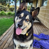 Photo of Ace Ventura