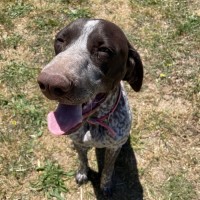 Photo of Remmy