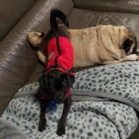 Photo of Ralph 