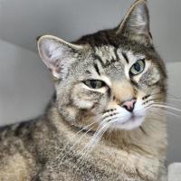 Photo of 🫶 Rudy 6712 🫶