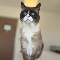 Photo of Tom