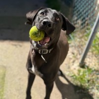 Photo of Jimmy