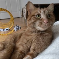 Photo of August 🧡