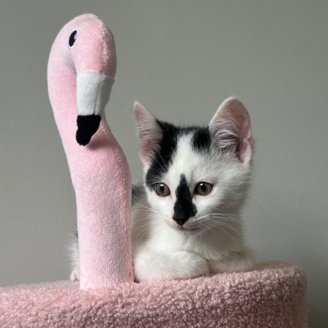 Photo of Skittles 🌈