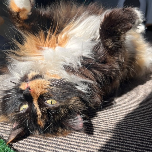 Photo of Molly