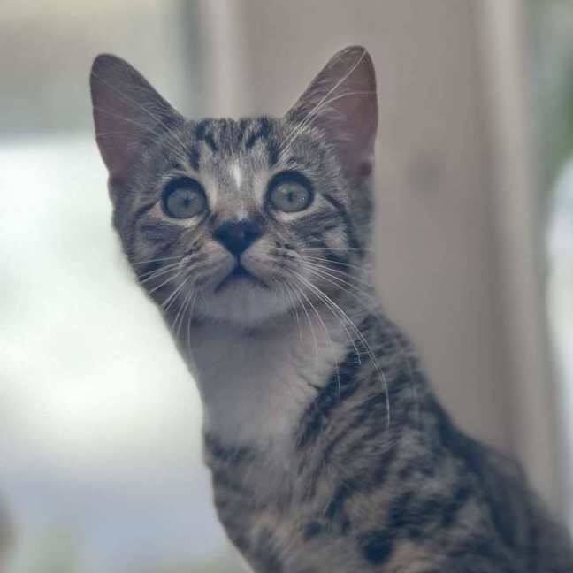 Photo of ❤️ Marlee ❤️