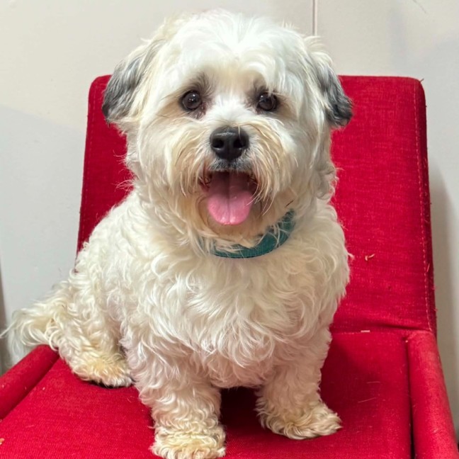 Photo of Gus