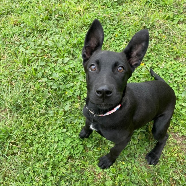 Photo of Kiki