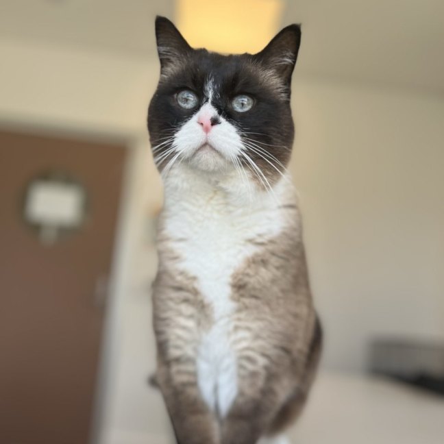 Photo of Tom
