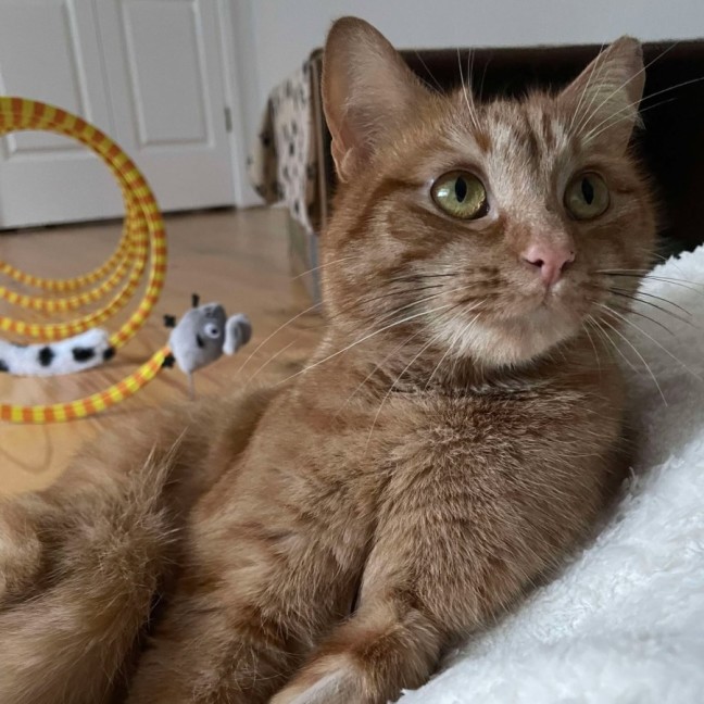 Photo of August 🧡