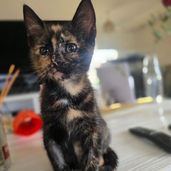 Photo of Bloom (Located In Wantirna South)