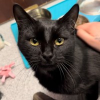 Photo of Hazel