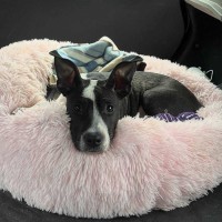 Photo of Zora 