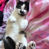 Photo of Gracey 💗